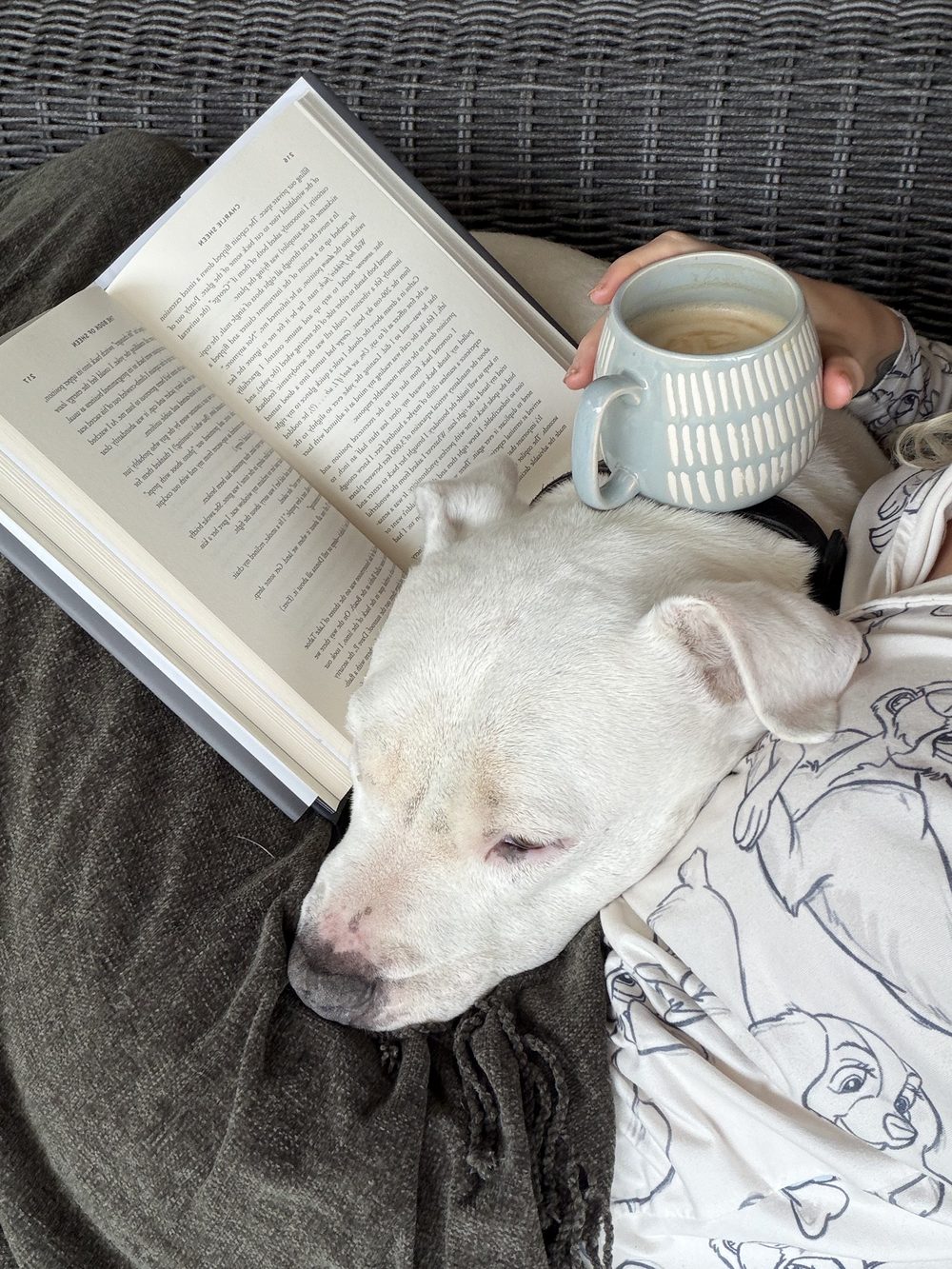 Dutch curled up on Abbi's lap with a book and a coffee